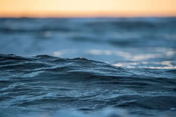 Gratis tjekliste: 20 ting du kan gøre i denne uge for en grønnere drift