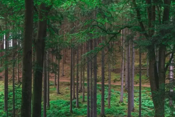 Deltag i “Grøn Uge” – Danmarks største bæredygtighedskampagne for turisme