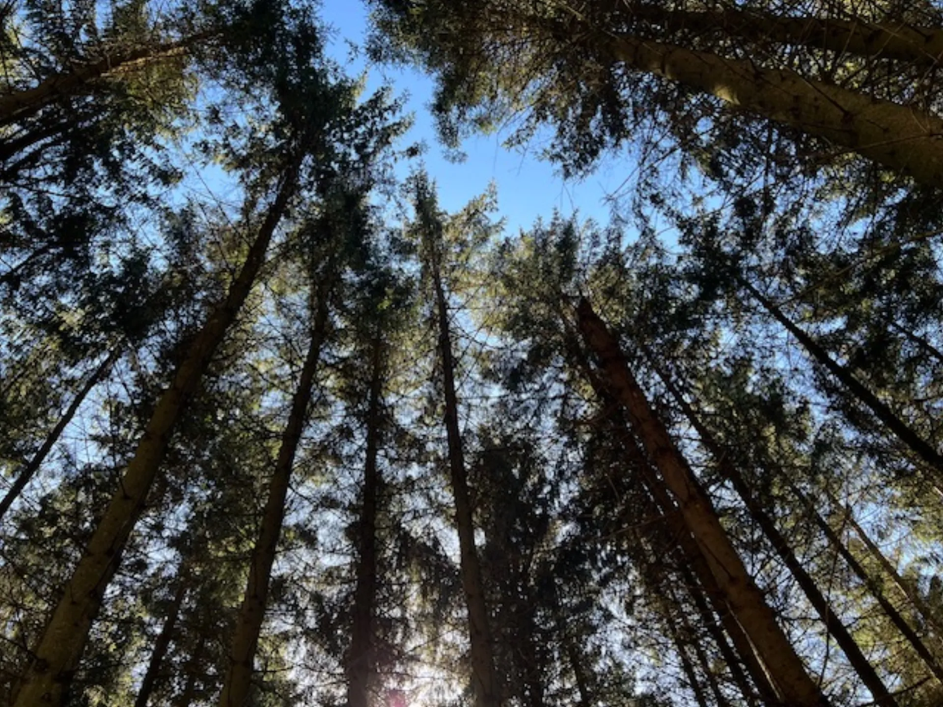 Her er en overskrift