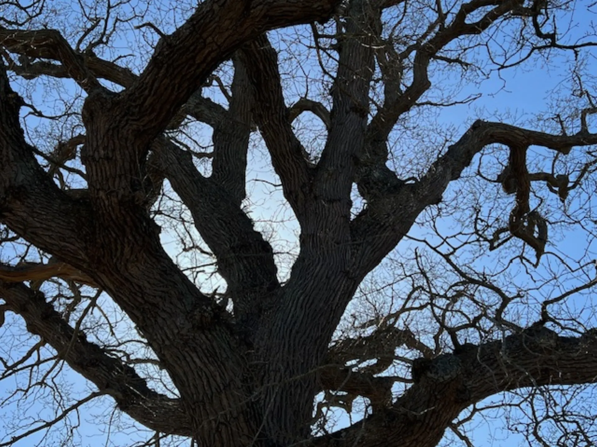 Her er en overskrift